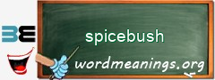 WordMeaning blackboard for spicebush